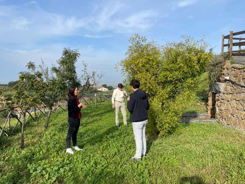 Rome Countryside: Wine Tasting Tour with Private Driver - Wine Tasting and Food Pairing: Why the Pairings Matter
