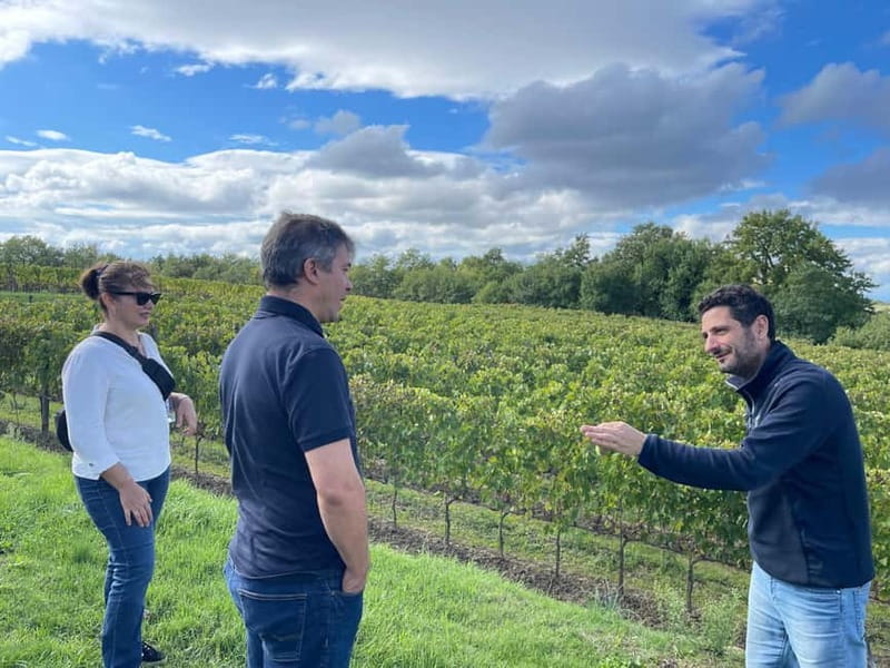 Rome Countryside: Wine Tasting Tour with Private Driver - The Sommelier Moment: What You’ll Learn (Without Feeling Put on the Spot)