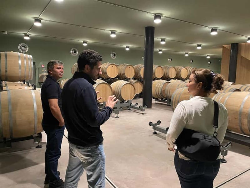 Rome Countryside: Wine Tasting Tour with Private Driver - Transportation Value: What You’re Really Paying For