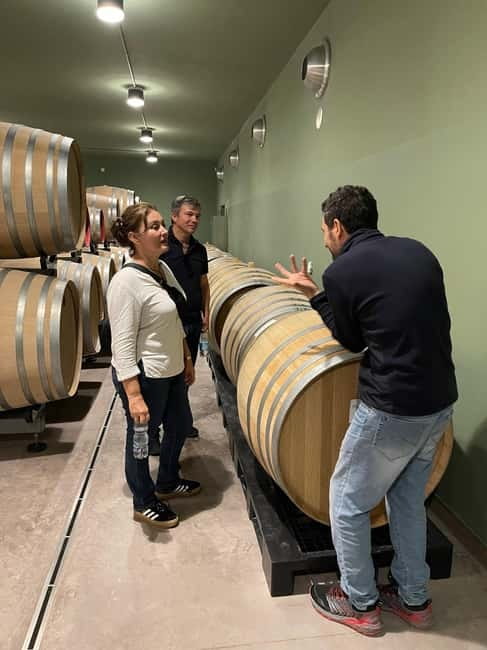 Rome Countryside: Wine Tasting Tour with Private Driver - Should You Book This Rome Countryside Wine Tasting?