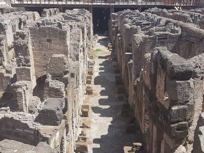 Rome: Explore the Colosseum and Roman Forum, Half-Day Tour - Price and value: is $167.66 a fair deal for this half-day?