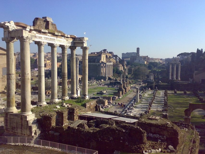 Rome: Explore the Colosseum and Roman Forum, Half-Day Tour - Palatine Hill photo stop: why this brief visit is useful