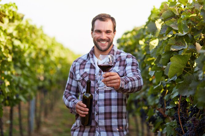 Rome: Frascati Private Day Trip - Town Tour, Lunch & Wine Tasting - Frascati in a Few Hours: What This Day Trip Really Gives You