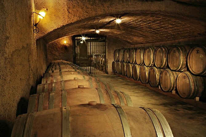 Rome: Frascati Private Day Trip - Town Tour, Lunch & Wine Tasting - The Winery Visit and the 2000-Year-Old Hand-Dug Cave