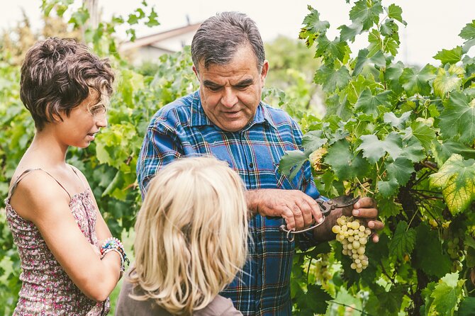 Rome: Frascati Private Day Trip - Town Tour, Lunch & Wine Tasting - What Guides Add: Names, Tone, and Problem-Solving