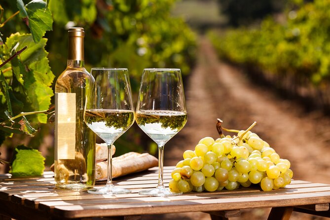 Rome: Frascati Private Day Trip - Town Tour, Lunch & Wine Tasting - Walking Frascati Centro Storico: Villas, Squares, and Church Corners