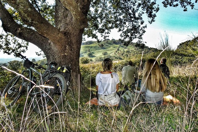 Rome: Frascati Vineyard Bike Tour with Train Tickets - Tenuta di Pietra Portia Srl: pedal, taste, and learn