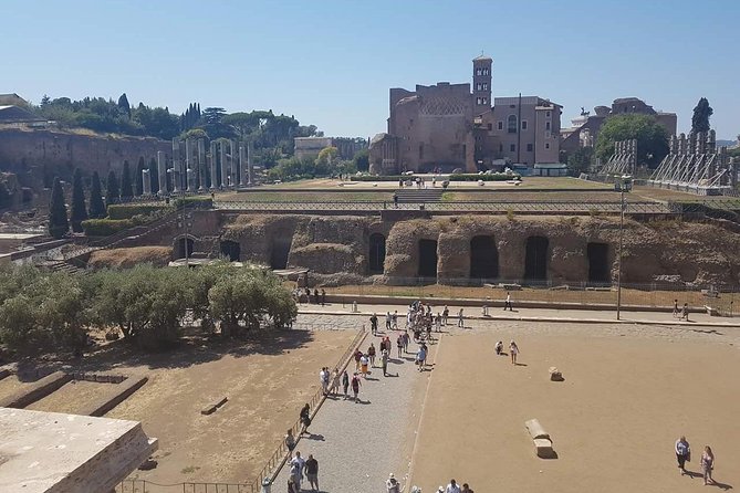 Rome Full Day Tour: Colosseum and Vatican Museums - Cantina del Duca Lunch Stop: A Break You Should Time Your Way