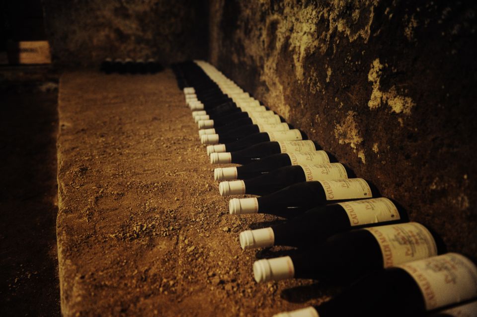 Rome: Guided Italian Wine Tasting Experience - What low-intervention and natural wine means for your glass