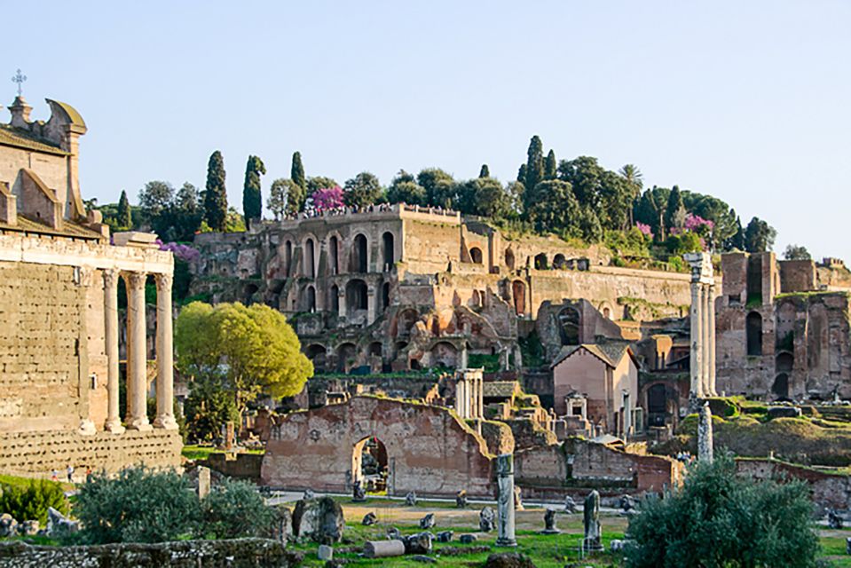 Rome: Guided Tour of Colosseum, Roman Forum & Palatine Hill - Colosseum Entry: Fast(er) Than DIY, But Don’t Ignore Security