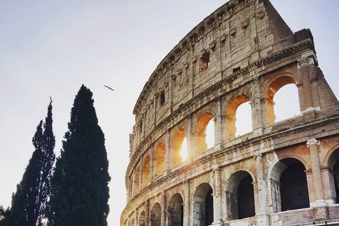 Rome: Guided Tour of the Colosseum - Key highlights worth aiming for