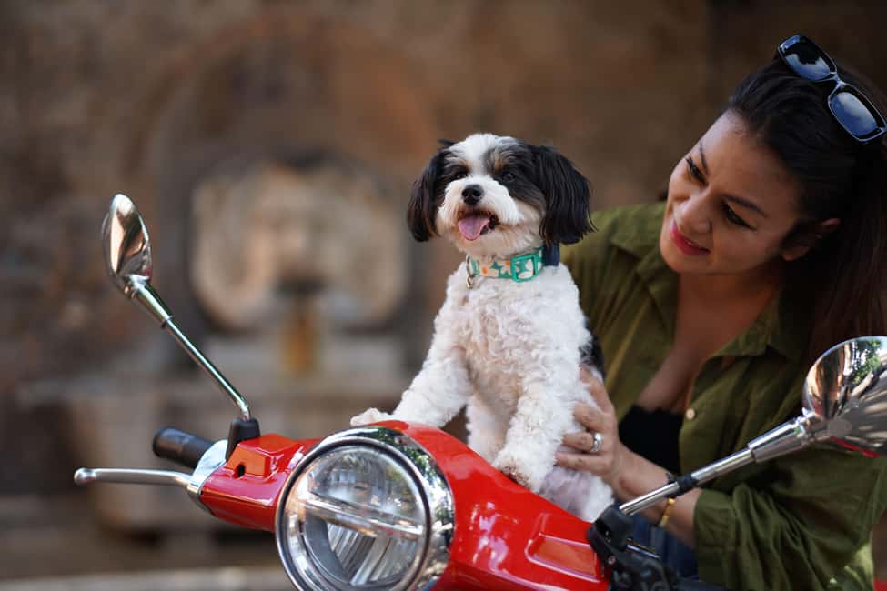 Rome: Guided Vespa Tour with Professional Photoshoot - Piazza Venezia and Capitoline Hill: A Central Finish You Can Navigate