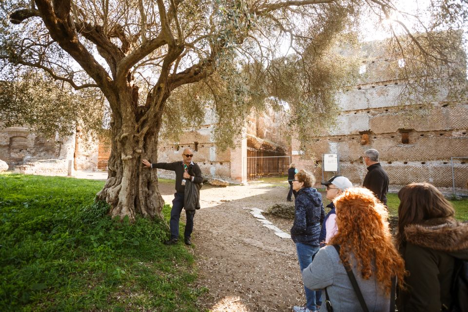 Rome: Hadrian's Villa and Villa d'Este Half-Day Tour - Key highlights to look forward to