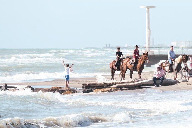 Rome: Horseback Riding on the Beach with aperitif - Cavalieri di Gaia: Meeting the horses near Rome