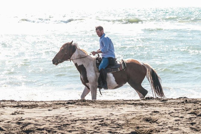 Rome: Horseback Riding on the Beach with aperitif - The Natural Reserve trail: pinewoods, effort, and possible Roman ruins