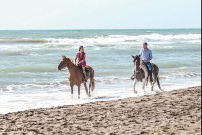 Rome: Horseback Riding on the Beach with aperitif - Ranch work first: grooming and saddling (this is not sit-and-relax)