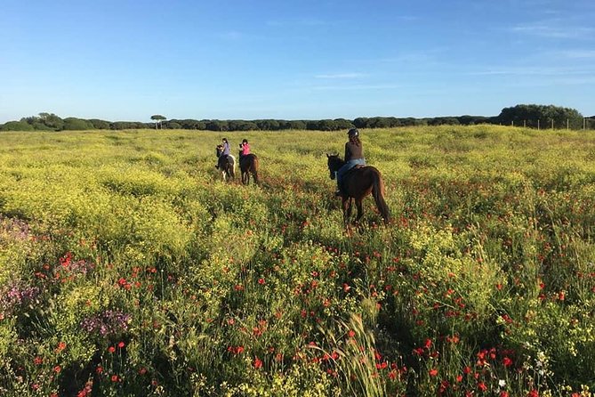 Rome: Horseback Riding on the Beach with aperitif - Transfers, transit, and the small logistics that can make or break the day
