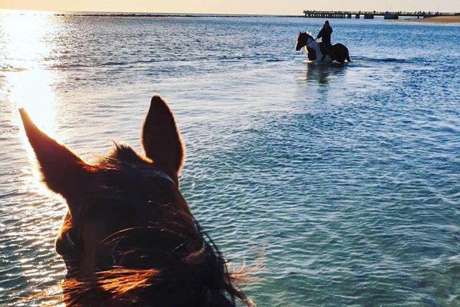 Rome: Horseback Riding on the Beach with aperitif - Should you book this horseback ride with aperitif?
