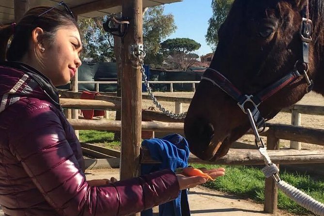 Rome : Horseback Riding with meals and wine included - Starting at Viale dei Romagnoli: Meeting Point and Getting There