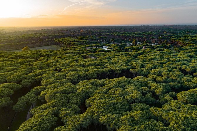 Rome : Horseback Riding with meals and wine included - The Ride Itself Through a Roman Nature Reserve