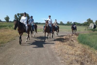 Rome : Horseback Riding with meals and wine included - Cavalieri di Gaia Ranch Time: Grooming, Feeding, and Getting a Little Dirty