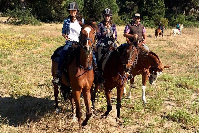 Rome : Horseback Riding with meals and wine included - How the Guide Helps You Actually Ride (Not Just Sit There)