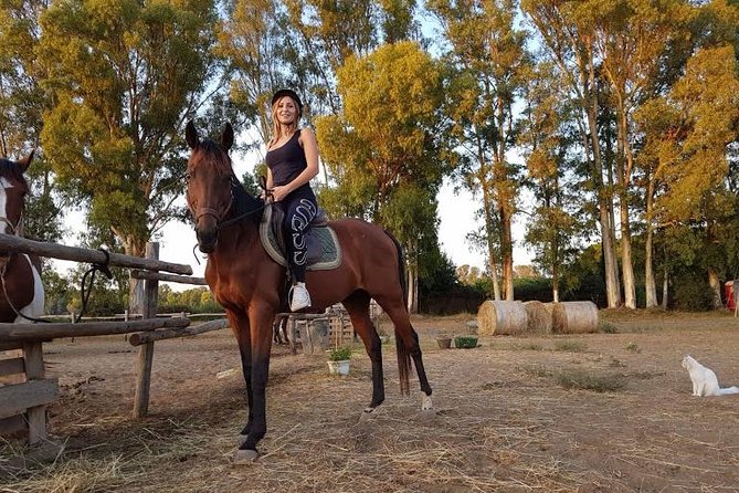 Rome : Horseback Riding with meals and wine included - Private Tour Value: Why This Price Can Make Sense at the Right Time