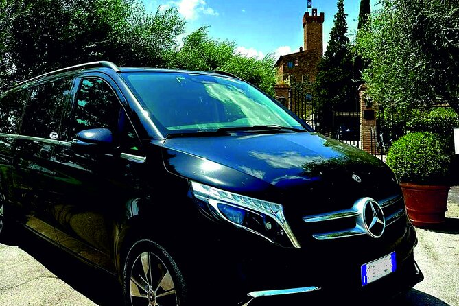 Rome Hotel to Fiumicino FCO Airport: Private Transfer - Who This Transfer Suits Best in Rome