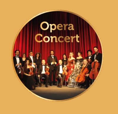 Rome: Musical Biography of Frank Sinatra Concert - Who This Concert Is For (and Who Should Skip It)