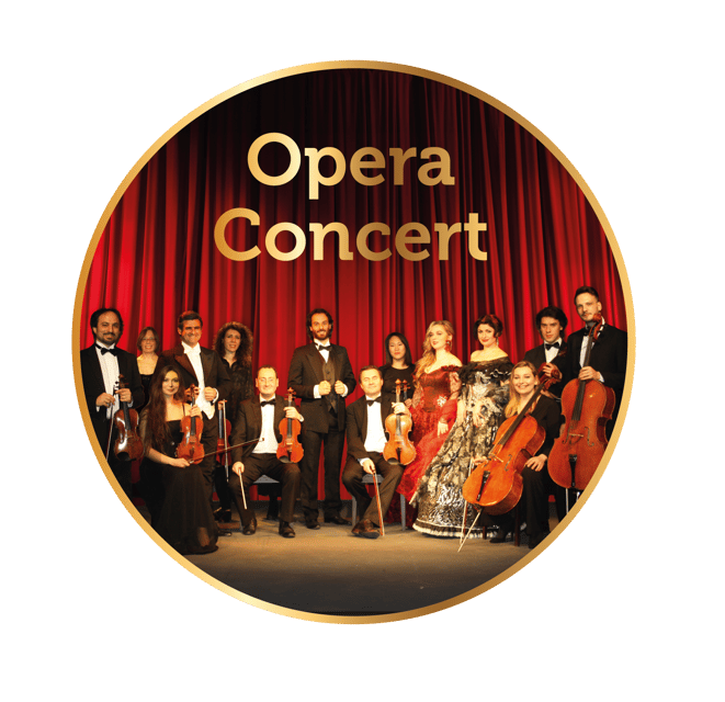 Rome: Musical Biography of Frank Sinatra Concert - Who This Concert Is For (and Who Should Skip It)