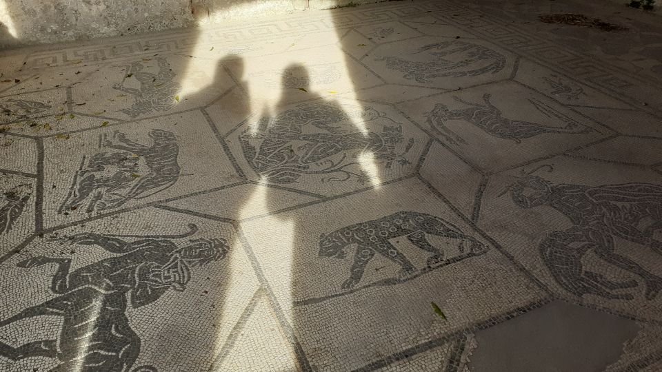 Rome: Ostia Antica Private Guided Tour - Meeting Point and Express Entry: Less Waiting, More Walking