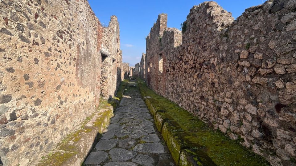 Rome: Pompeii Tour with Wine and Lunch by High Speed Train - Timing and pace: why this is “moderate” and what to plan for