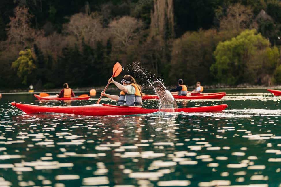 Rome: Popes' Lake, Kayak Tour with Swimming & Roman Pizza - The Swim Stop: Secluded Beach, Kayak-Only Access