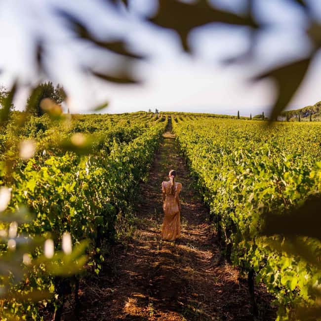 Rome: Private Castelli Romani Wine Tasting Tour - Key things I’d circle before you book