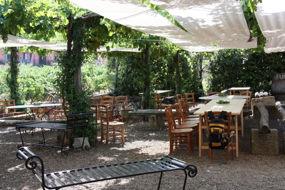 Rome: Private Castelli Romani Wine Tasting Tour - Pairings that make sense: Roman pizza, olive oil, and garden produce
