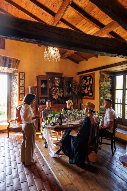 Rome: Private Countryside Wine Tasting Tour - Frascati Hills: 160 Acres of Vines and Classic Estate Views