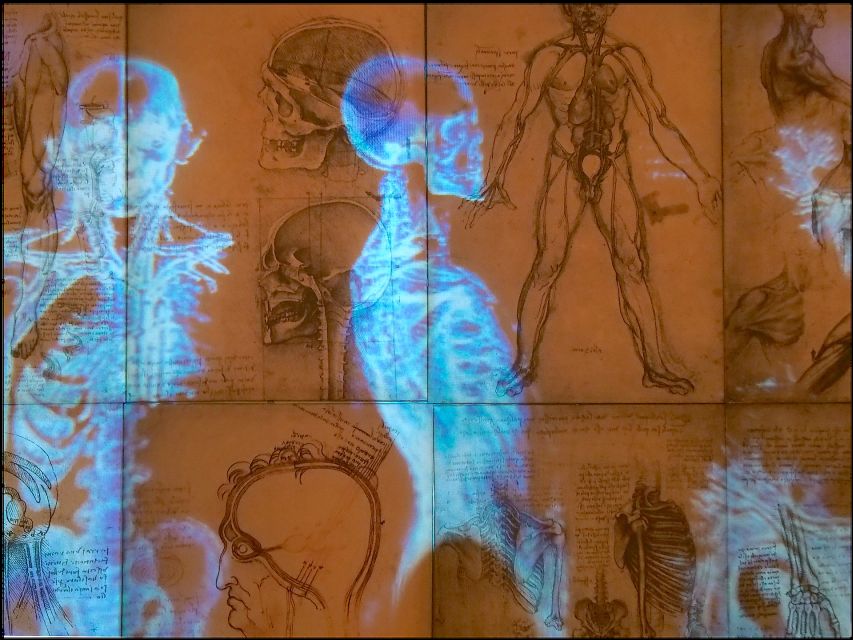 Rome: Private Leonardo da Vinci Exhibition Guided Tour - Full-scale machines: what you learn when you can see size and structure