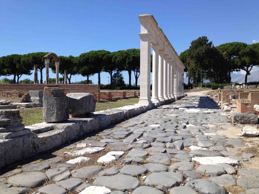 Rome: Private Tailored City Tour with Expert Driver - St. Peter’s Basilica and Vatican City From Street-Level Angles
