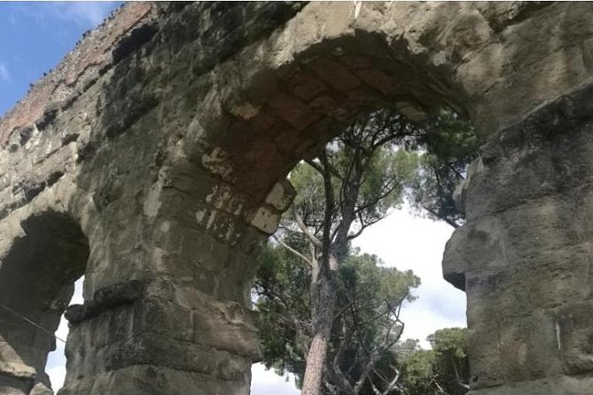 Rome Private Tour by English speaking driver - Roman Forum Stops: Where Daily Life Turned Into Ancient Legend