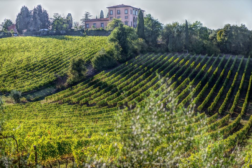 Rome: Private Tour to San Gimignano, Siena & Winery Visit - Who should book this tour (and who should skip)