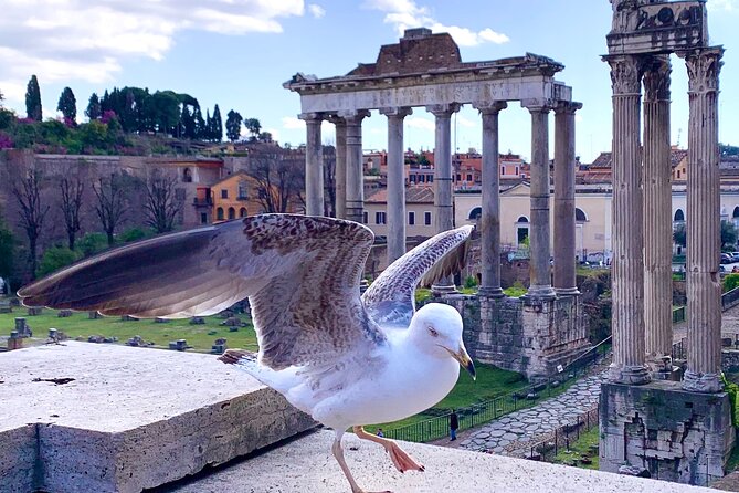 Rome: Private Tour with Guide - Colosseum: the lesson starts before you even enter