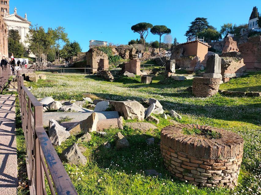 Rome: Roman Forum and Palatine Hill Licensed Guided Tour - Palatine Hill: Birthplace of Emperors and Panoramic Views Over Rome