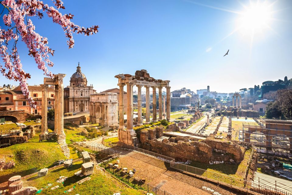 Rome: Roman Forum and Palatine Hill Licensed Guided Tour - Photo Spots, Water Breaks, and Timing Before Closing
