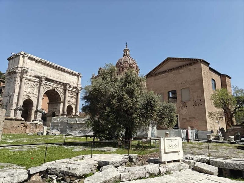 Rome: Roman Forum Myths and Legends Private Guided Tour - What You See: Roman Forum + Palatine Hill + Imperial Forum Access