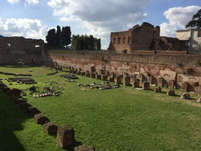 Rome: Roman Forum, Palatine, and Circus Maximus Tour - Arch of Constantine: A Triumphal-Arc Starter That Frames Rome’s Story