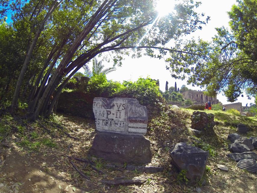 Rome: Roman Forum, Palatine, and Circus Maximus Tour - Palatine Hill: Romulus and Remus to an Elite Address