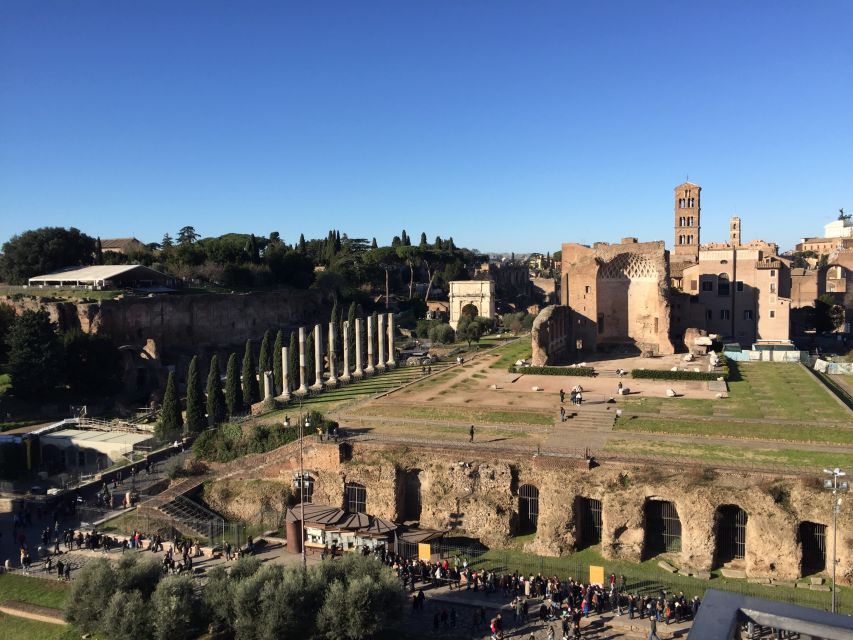 Rome: Roman Forum, Palatine, and Circus Maximus Tour - Walking Comfort, Toilets, and Little Planning Wins
