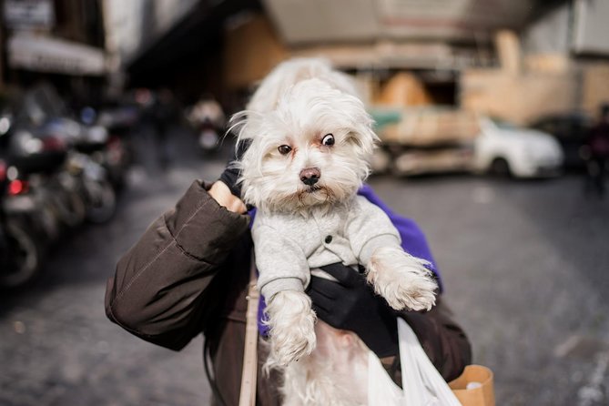 Rome Street Photography Lesson - Price and Value: Is $138.91 Reasonable for 3 Hours?