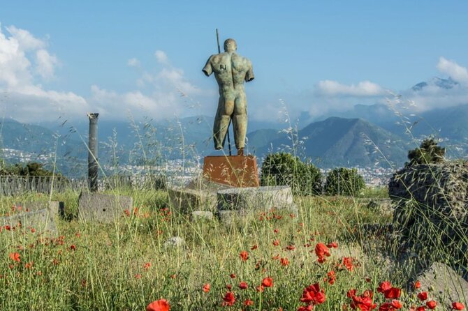 Rome to Pompeii Guided Tour with Wine & Lunch by High Speed Train - The Return to Rome: Fast Train, Less Stress