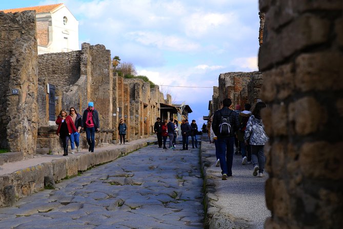 Rome to Pompeii & Herculaneum Trip with Hotel Pickup & Skip-the-line Tickets - Skip-the-line Tickets: How the Pompeii Highlights Time Works